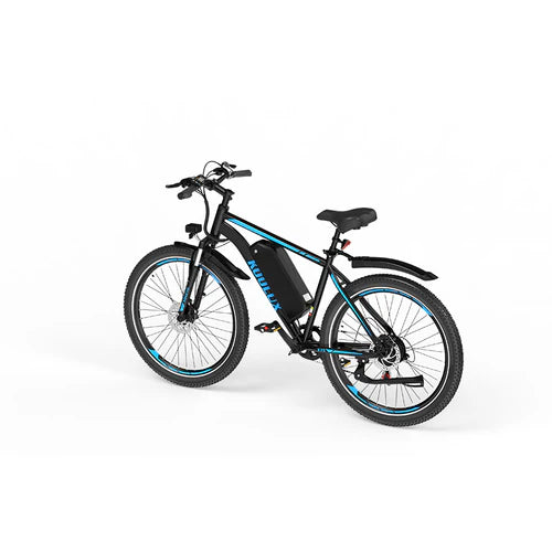 X15 E-Bike