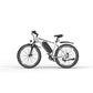 X15 E-Bike