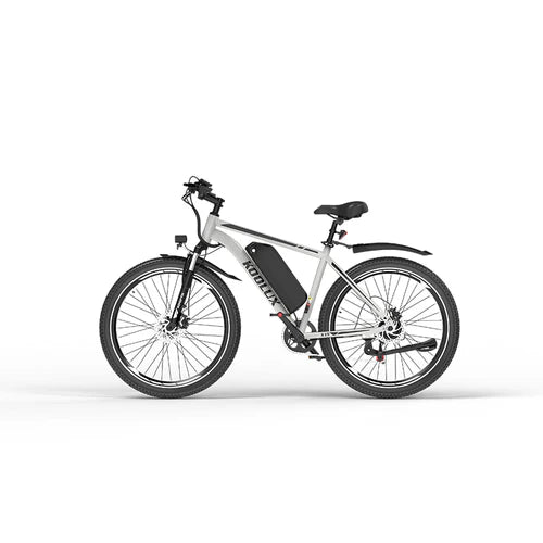 X15 E-Bike