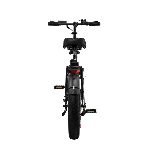 BK6S 4.0 750W E-Bike