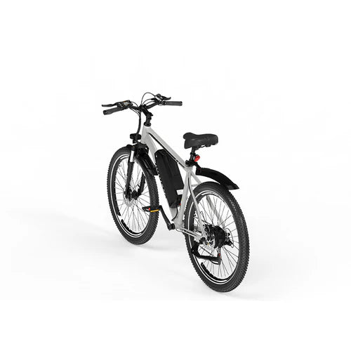 X15 E-Bike