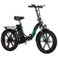 BK6S 4.0 750W E-Bike