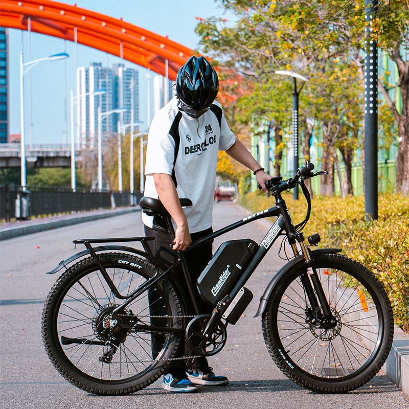 ChamRider   DM427