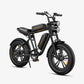 ENGWE M20