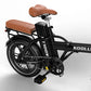 X10 E-Bike