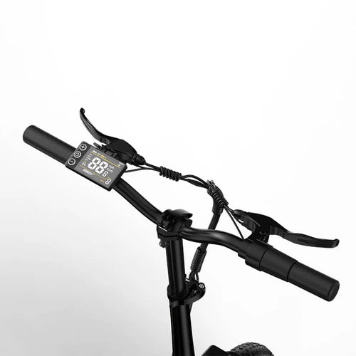 X10 E-Bike