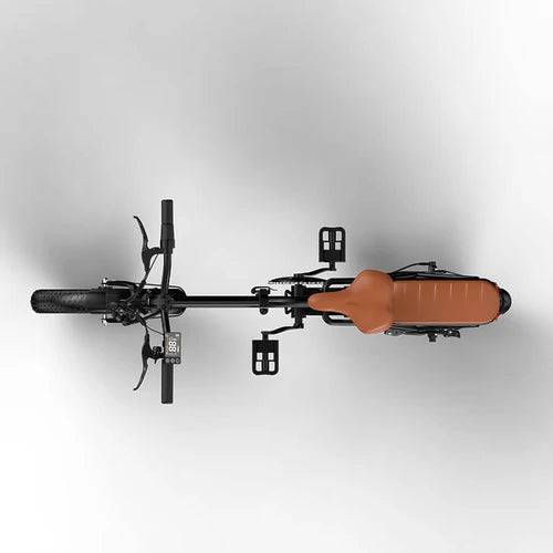 X10 E-Bike