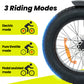 Atlastrek Electric Bike